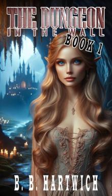 The Dungeon in the wall: Book 1
