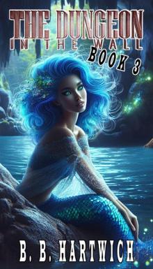 The Dungeon in the wall: Book 3