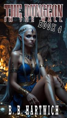 The Dungeon in the wall: Book 4