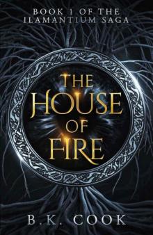 The House of Fire : A Coming of Age Fantasy