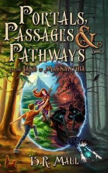 In the Land of Magnanthia (Portals, Passages & Pathways Book 1)