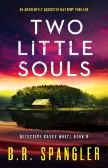 Two Little Souls: An absolutely addictive mystery thriller (Detective Casey White Book 9)