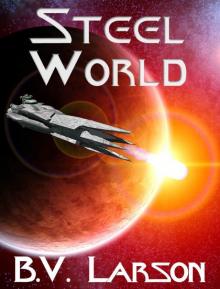 Steel World (Undying Mercenaries Series)