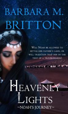 Heavenly Lights: Noah's Journey