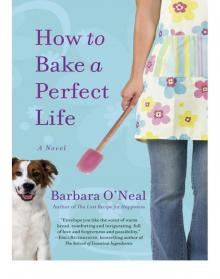 How to Bake a Perfect Life