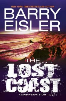 The Lost Coast -- A Larison Short Story