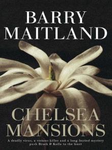 Chelsea Mansions bak-11