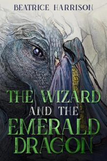 The Wizard and the Emerald Dragon