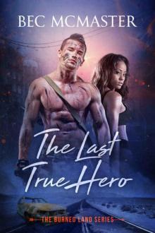 The Last True Hero (The Burned Lands Book 2)