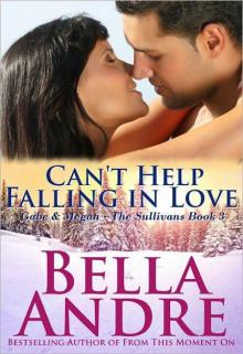 Can't Help Falling in Love- Sullivans 3