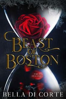 Beast of Boston : A Mafia Fairy Tale Retelling