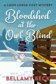 Bloodshed at the Owl Blind