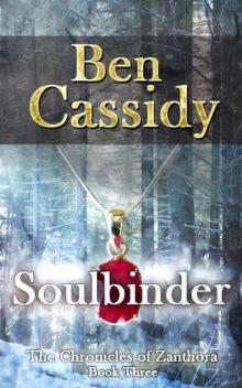 Soulbinder (Book 3) Soulbinder (Book 3)