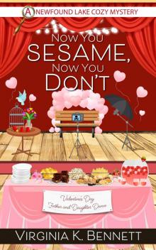 Now You Sesame, Now You Don't: A Newfound Lake Cozy Mystery
