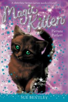 Magic Kitten: Picture Perfect