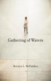 Gathering of Waters