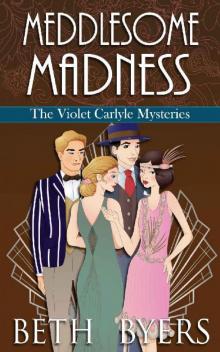 Meddlesome Madness: A Short Story Collection