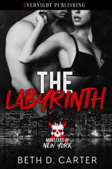 The Labyrinth (Monsters of New York) The Labyrinth (Monsters of New York)