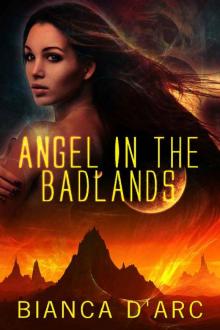 Angel in the Badlands: space opera sci fi romance (Sons of Amber Book 1)