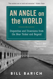 An Angle on the World An Angle on the World