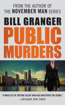 Public Murders Public Murders