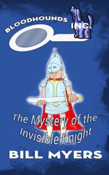 The Mystery of the Invisible Knight The Mystery of the Invisible Knight