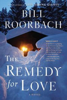 The Remedy for Love: A Novel