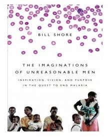 The Imaginations of Unreasonable Men