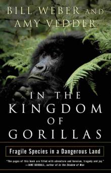 In the Kingdom of Gorillas