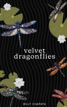 Velvet Dragonflies Velvet Dragonflies