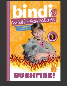 Bushfire!