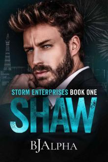 SHAW: STORM ENTERPRISES BOOK 1