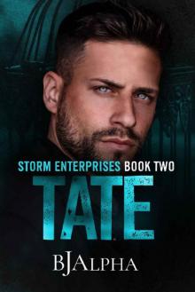 TATE: STORM ENTERPRISES BOOK 2