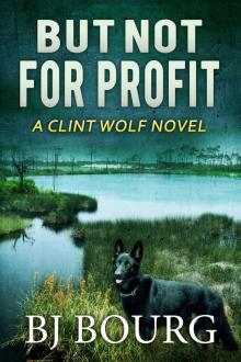 But Not For Profit: A Clint Wolf Novel