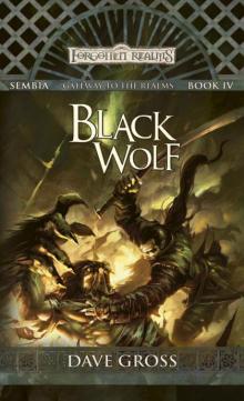 D&D - Forgotten Realms - Sembia 03