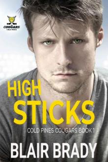 HIgh Sticks: A MM Hockey Romance (Cold Pines Cougars Book 1)