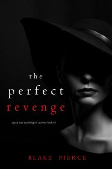 THE PERFECT REVENGE