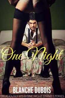 One Night: Deliciously Wild One Night Stand Stories