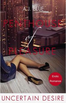 Penthouse of pleasure - uncertain desire (German Edition)