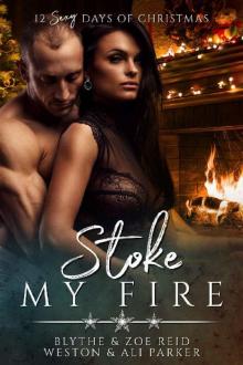 Stoke My Fire: A Sexy Bad Boy Holiday Novel (The Parker's 12 Days of Christmas Book 7)