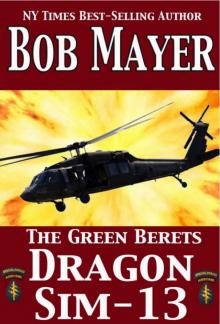 Dragon Sim-13 tgb-2 Dragon Sim-13 tgb-2