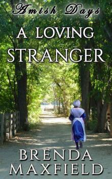 Amish Days: A Loving Stranger: An Amish Romance Short Story (Hollybrook Amish Romance) Amish Days: A Loving Stranger: An Amish Romance Short Story (Hollybrook Amish Romance)