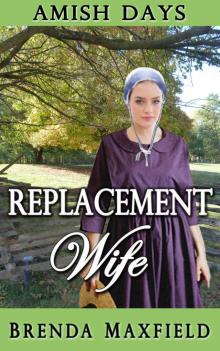 Amish Days: Replacement Wife: Hollybrook Amish Romance (Greta's Story Book 1) Amish Days: Replacement Wife: Hollybrook Amish Romance (Greta's Story Book 1)