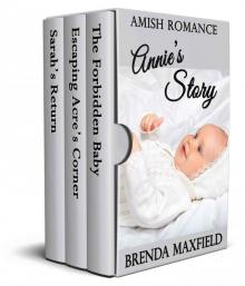 Amish Romance: Annie's Story: Three Book Box Set Amish Romance: Annie's Story: Three Book Box Set