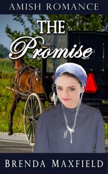 Amish Romance: The Promise (Hollybrook Amish Romance: Greta's Story Book 2)