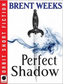 Perfect Shadow Perfect Shadow