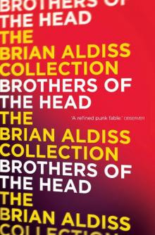 Brothers of the Head Brothers of the Head