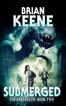 Submerged: The Labyrinth, Book 2 Submerged: The Labyrinth, Book 2
