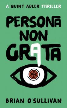 Persona Non Grata (Quint Adler Thrillers Book 7)