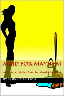 1 Maid for Mayhem